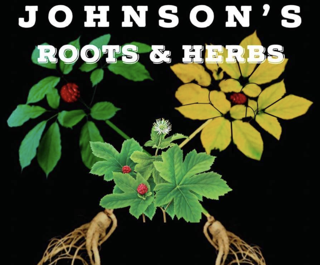 Johnson's Roots and Herbs, natural health products