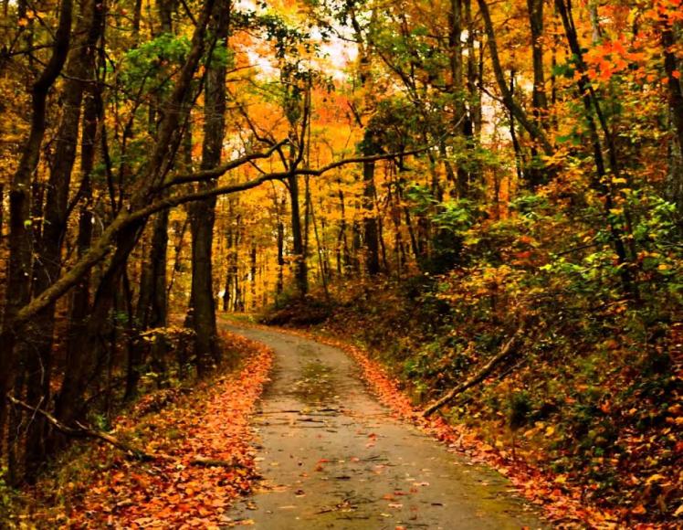 Little Shepherd Trail