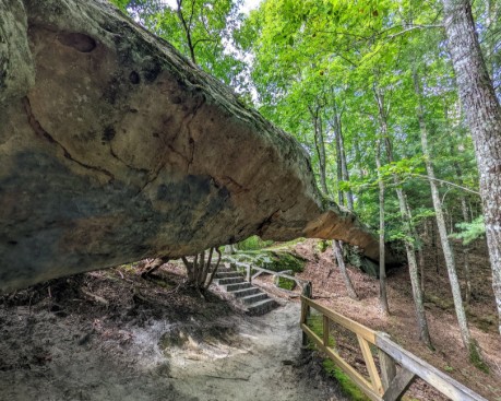 Log Rock Trail