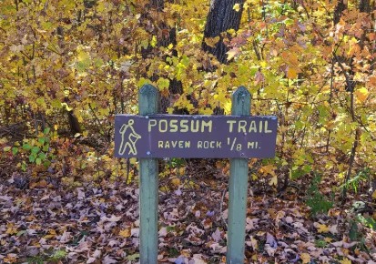 Possum Trail